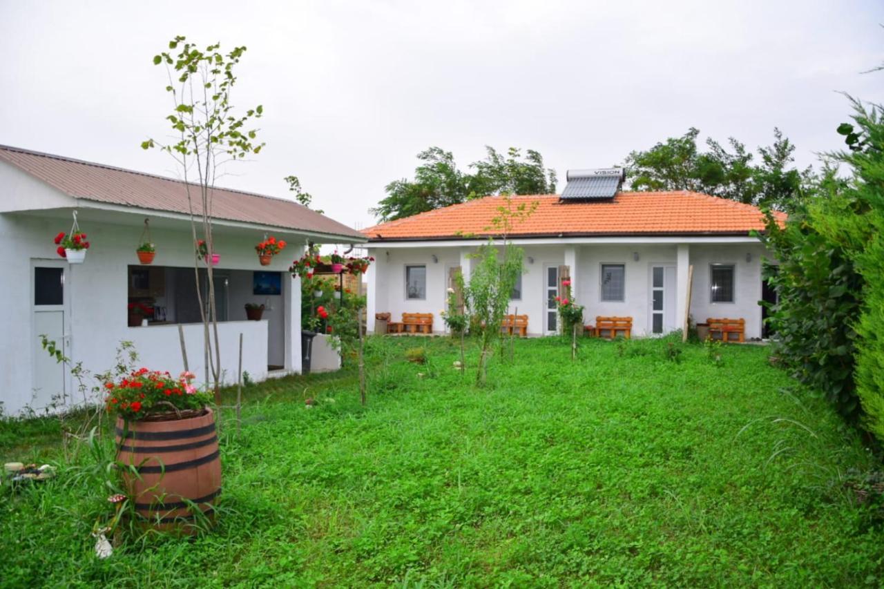 Casa Gyomar Hotel Vama Veche Exterior photo