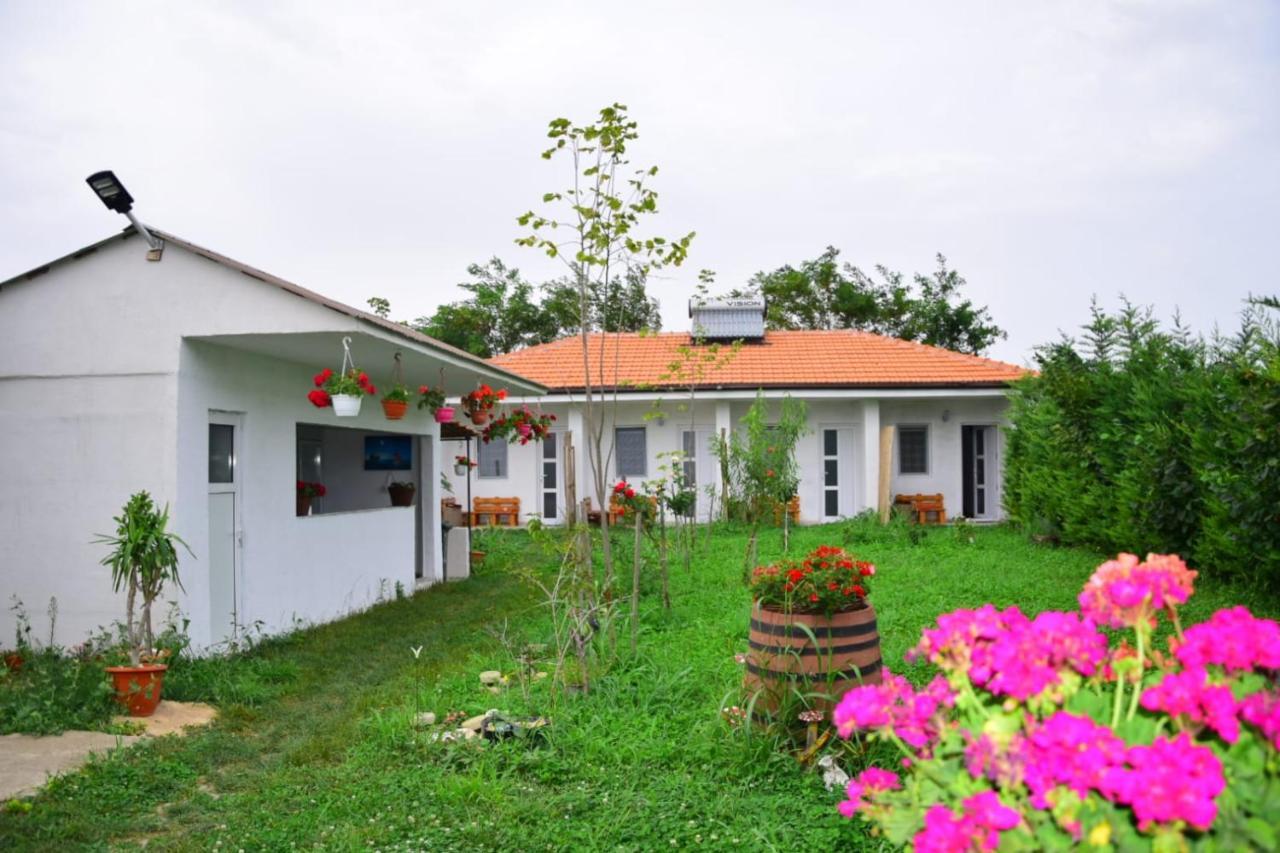 Casa Gyomar Hotel Vama Veche Exterior photo